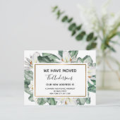 予算の動く発表トロピカルフローラ ポストカード (スタンド正面)