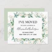 予算の動く発表ユーカリ緑 (正面/裏面)