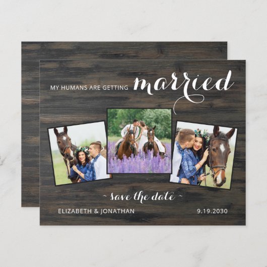 予算の国3写真馬の結婚式の日付を保存 (正面/裏面)