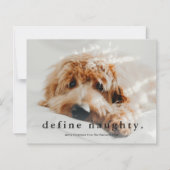 予算の定義いけなPetおもしろいクリスマスカード (正面)