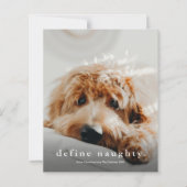 予算の定義いけなPetおもしろいクリスマスカード (正面)