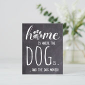 予算の家で犬が動いている発表 (スタンド正面)