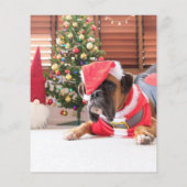 予算の家族の写真クリスマスグリーティング金ゴールド チラシ (裏面)