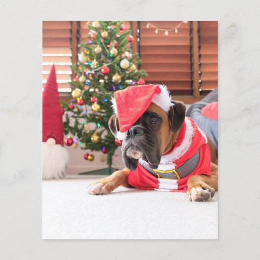 予算の家族の写真クリスマスグリーティング金ゴールド チラシ (裏面)