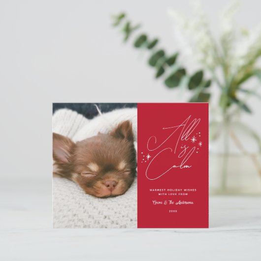 予算の手書きすべて穏やかなペットフォトクリスマス (スタンド正面)