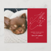 予算の手書きすべて穏やかなペットフォトクリスマス (正面)