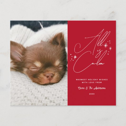 予算の手書きすべて穏やかなペットフォトクリスマス (正面)