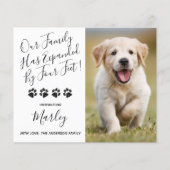 予算の新しいペットは4つの足子犬によって拡張 (正面)