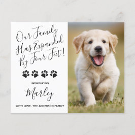 予算の新しいペットは4つの足子犬によって拡張