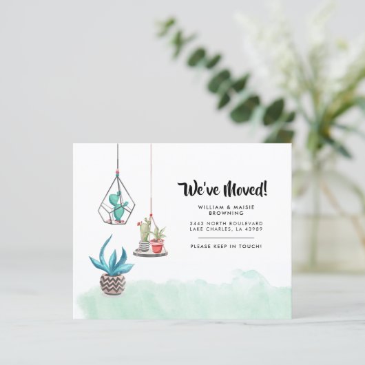 予算の新しい住所の多肉化に関するお知らせ (スタンド正面)