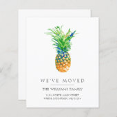 予算の熱帯性パイナップルの移動発表 (正面/裏面)