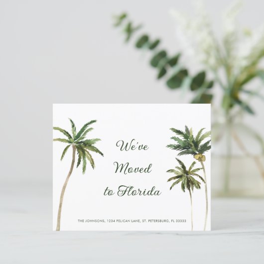 予算の熱帯性ヤシの木の動きを発表 (スタンド正面)