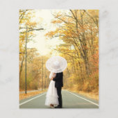 予算の素朴なストリングライトエレガント除草 (裏面)