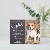 予算は犬の救助の新しいペットの発表を採用 (スタンド正面)