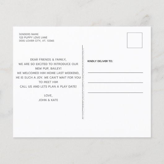 予算は犬の救助の新しいペットの発表を採用 (裏面)