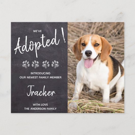 予算は犬の救助の新しいペットの発表を採用 (正面)