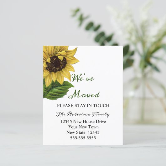 予算ひまわり移動 |新しいアドレス (スタンド正面)