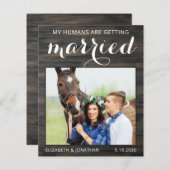 予算ウマ科の素朴の馬の日付の保存 (正面/裏面)