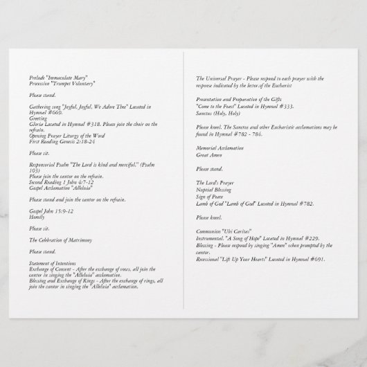 予算カソリッ結婚クの初期の大規模プログラム大規模 チラシ (裏面)