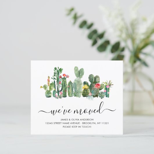 予算サボテン引っ越しました新規ホーム移動カード (スタンド正面)