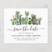 予算サボテンCacti多肉性フローラ保存日付 (正面)