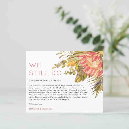 予算トロピカルは我々はまだ延期結婚する (スタンド正面)