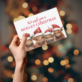 予算ハイランドカウクリスマスカード