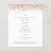 予算バラ金ゴールドグリッターバチェロレッテ週末 (裏面)