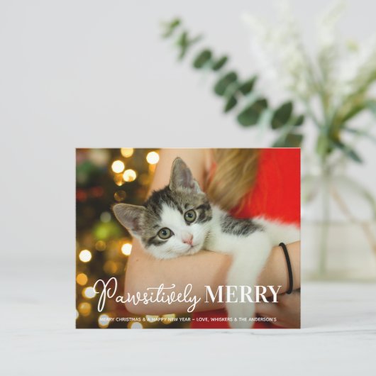 予算パワメリーリカスタムーPet Catフォトカード (スタンド正面)