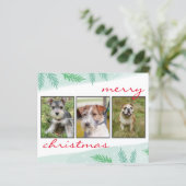予算フレンドリーな写真メリークリスマス (スタンド正面)