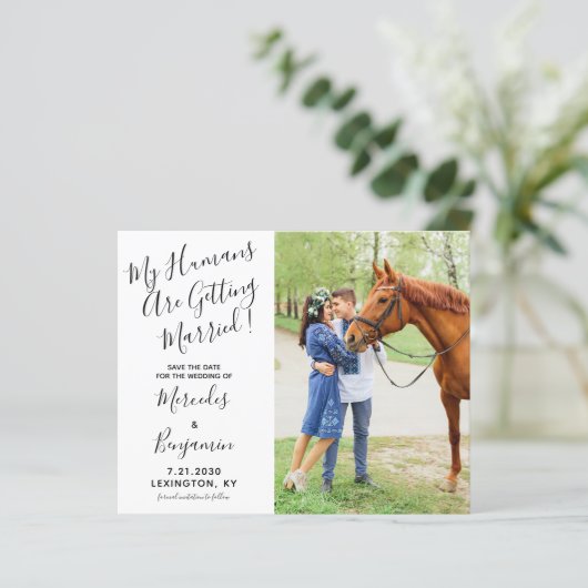 予算モダン写真ウマ科の結婚式の日付の保存 (スタンド正面)