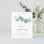 予算ユーカリプタスブランチブルーザデイト (スタンド正面)