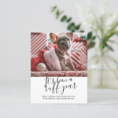 予算ラフ年の犬のクリスマスだった (スタンド正面)