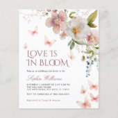 予算ワイルドフラワーラブズ開花招待 (正面)