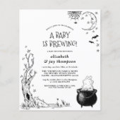 予算ヴィンテージベビーはベビーシャワーを醸造している (正面)