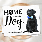 予算引っ越しましたかわいい犬の引越し告知