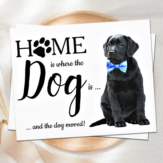 予算引っ越しましたかわいい犬の引越し告知