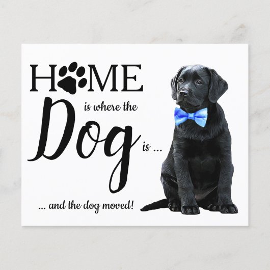 予算引っ越しましたかわいい犬の引越し告知 (正面)