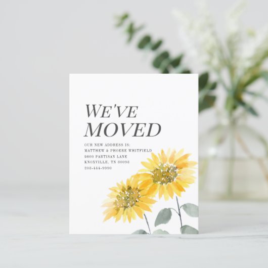 予算引っ越しましたひまわり移動発表 (スタンド正面)