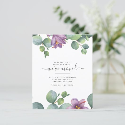 予算引っ越しましたユーカリプスグリーンリームービング (スタンド正面)