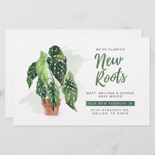 予算引っ越しましたルーツの引越し発表 (正面/裏面)