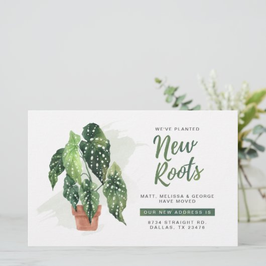 予算引っ越しましたルーツの引越し発表 (スタンド正面)