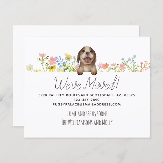 予算引っ越しました!ビーグルパピーフローラ移動 (正面/裏面)