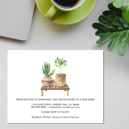 予算引っ越しましたBoho Plantsの動きのお知らせ