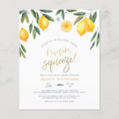 予算彼女は彼女のメイン絞りブライダルシャワーを見つけた (正面)