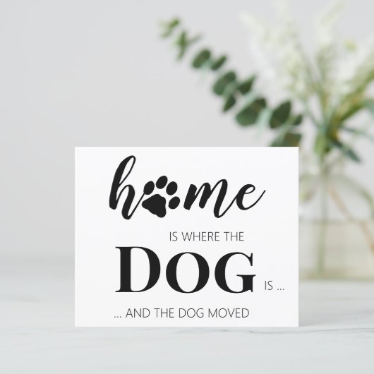 予算我々は犬を動かす発表を移動した (スタンド正面)