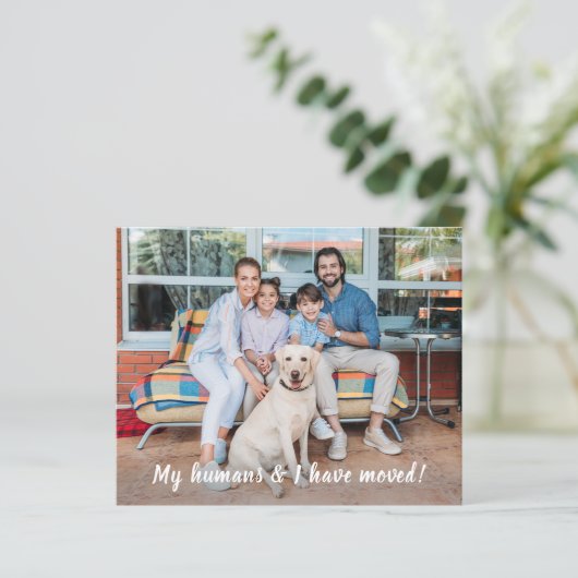 予算我々は移動したペットの動く告知カード (スタンド正面)