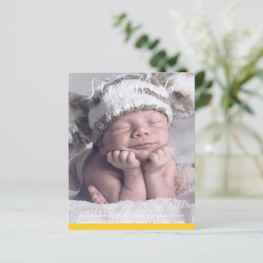 予算新生児写真の発表カスタム (スタンド正面)