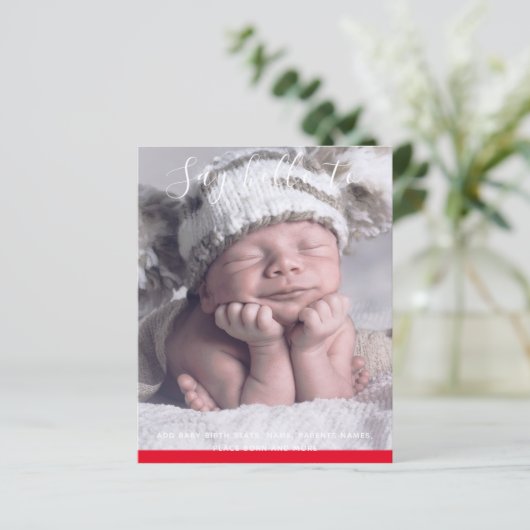 予算新生児写真の発表カスタム (スタンド正面)