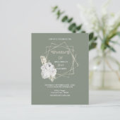 予算素朴なボホエレガント除草 (スタンド正面)